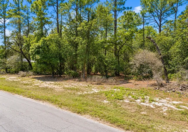 Photo 3 of Land for sale at 0 Southwest 69th Ct Rd, Ocala, FL 34473 | MLS# O6440836 | Listing updated on 2026-10-05