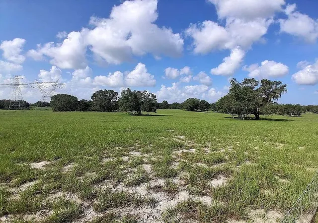 Photo 3 of Land for sale at 15750 Larry Rd, Spring Hill, FL 34610 | MLS# W7889425 | Listing updated on 2026-10-06