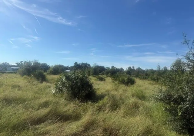 Land for sale at Welcome Rd #Lot 2, LITHIA, FL 33547 | MLS# L4964992