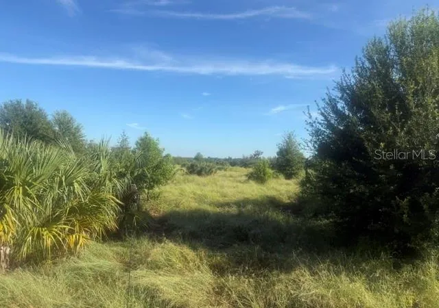 Photo 2 of Land for sale at Welcome Rd #Lot 2, Lithia, FL 33547 | MLS# L4964992 | Listing updated on 2026-09-14