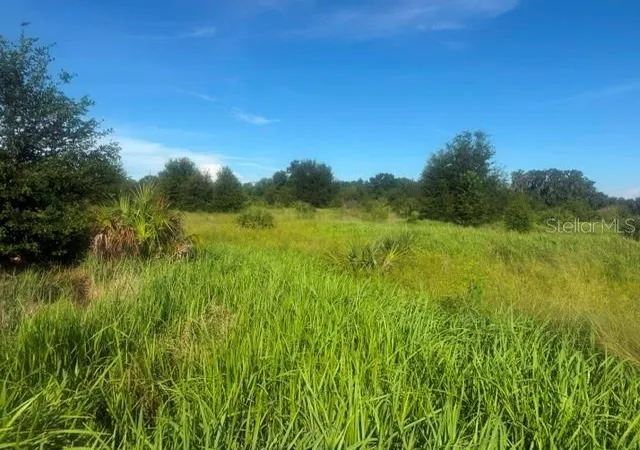 Land for sale at Welcome Rd #Lot 3, LITHIA, FL 33547 | MLS# L4964994