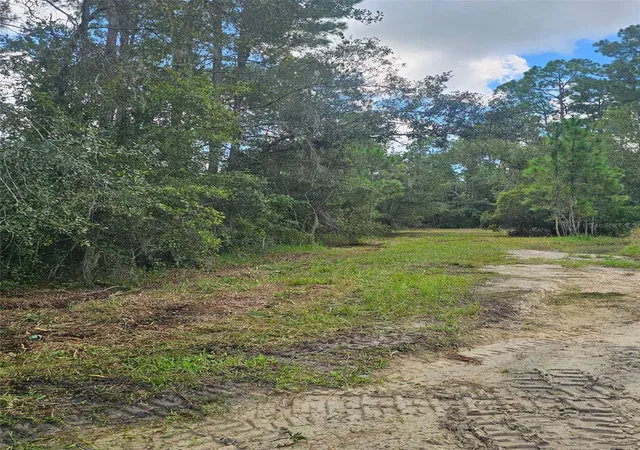 Photo 1 of Land for sale at 1746 Country Woods Dr, Lakeland, FL 33809 | MLS# L4964998 | Listing updated on 2026-09-15
