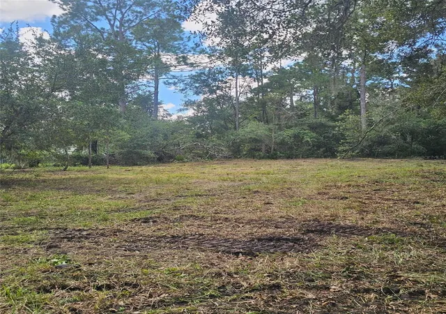 Photo 2 of Land for sale at 1746 Country Woods Dr, Lakeland, FL 33809 | MLS# L4964998 | Listing updated on 2026-09-15