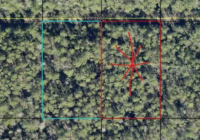 Photo 1 of Land for sale at Tract 597 Tippin St, Hastings, FL 32145 | MLS# C7530653 | Listing updated on 2026-09-12