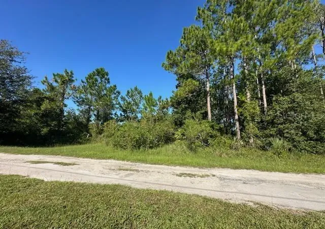 Photo 1 of Sale Pending at Woodland Ave, Paisley, FL 32767 | MLS# V4951233 | Listing updated on 2026-10-06