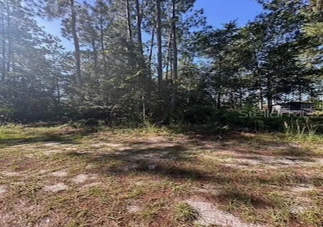 Photo 3 of Sale Pending at Woodland Ave, Paisley, FL 32767 | MLS# V4951233 | Listing updated on 2026-10-06