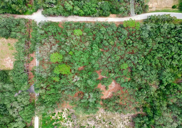 Photo 4 of Land for sale at 17206 Red Bird Rd, Winter Garden, FL 34787 | MLS# O6441311 | Listing updated on 2026-09-12