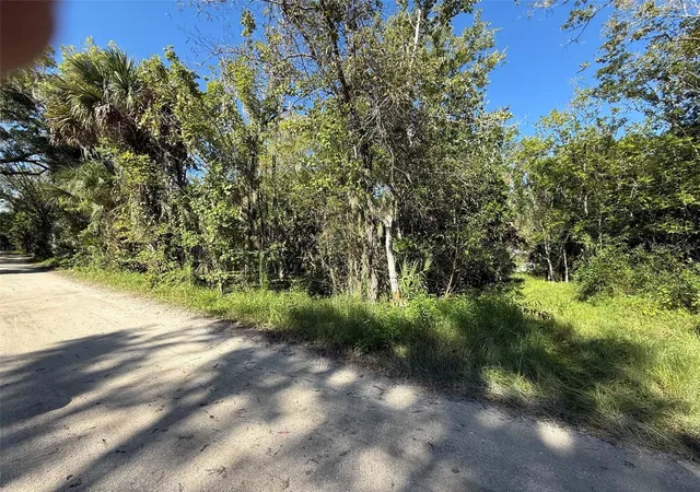 Photo 2 of Land for sale at 1785 Maplewood Dr, Edgewater, FL 32132 | MLS# NS1089246 | Listing updated on 2026-09-14