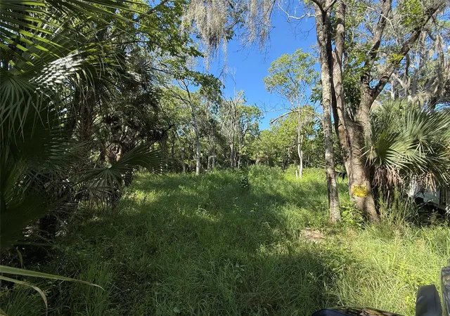 Photo 3 of Land for sale at 1785 Maplewood Dr, Edgewater, FL 32132 | MLS# NS1089246 | Listing updated on 2026-09-14