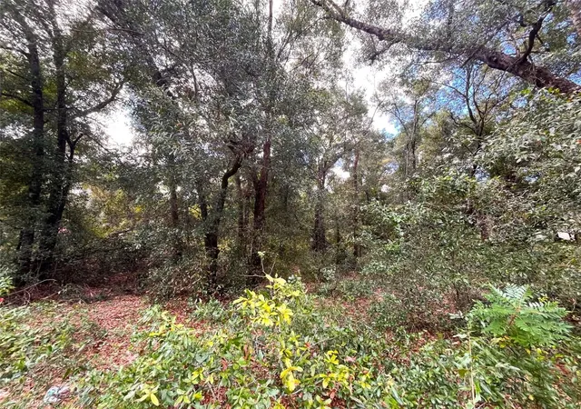 Photo 3 of Sale Pending at 839 County Rd 308b, Pomona Park, FL 32181 | MLS# V4951259 | Listing updated on 2026-09-23