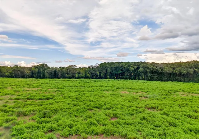 Photo 3 of Land for sale at 4949 Nw 100th Street, Ocala, FL 34482 | MLS# OM732237 | Listing updated on 2026-09-15