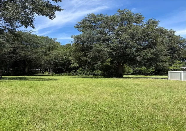 Photo 4 of Land for sale at Tbd SE 144th Place, Summerfield, FL 34491 | MLS# OM732265 | Listing updated on 2026-09-15