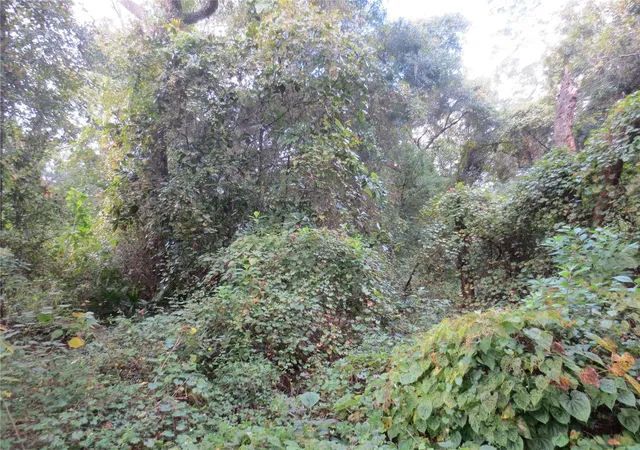 Photo 1 of Land for sale at 0 NE 174th Court, Silver Springs, FL 34488 | MLS# OM732271 | Listing updated on 2026-09-15