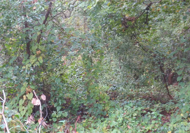 Photo 2 of Land for sale at 0 NE 174th Court, Silver Springs, FL 34488 | MLS# OM732271 | Listing updated on 2026-09-15