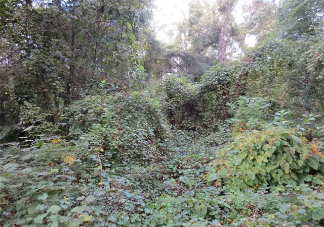 Photo 3 of Land for sale at 0 NE 174th Court, Silver Springs, FL 34488 | MLS# OM732271 | Listing updated on 2026-09-15