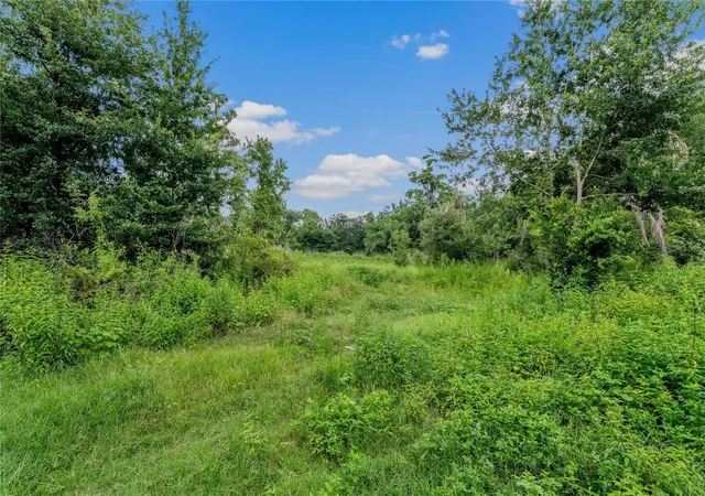 Photo 1 of Land for sale at 5566 Harvey Tew Rd, Plant City, FL 33565 | MLS# O6441855 | Listing updated on 2026-09-15