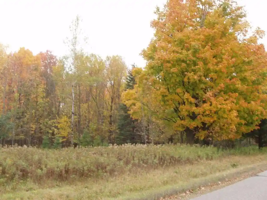 Photo 1 of Land for sale at Lot 4 Margaret Lane Lane, Park Falls, WI 54552 | MLS# 1549470 | Listing updated on 2026-08-18