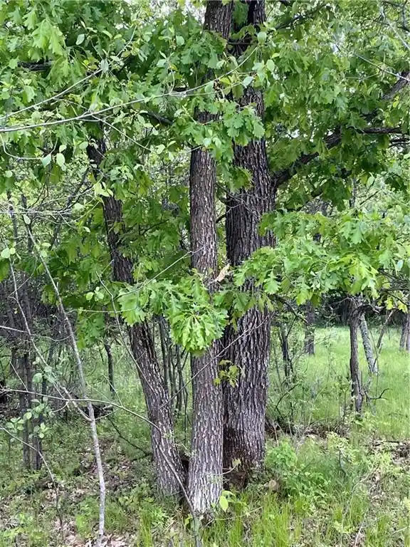 7th image of Lot 7 112th Street Street, Chippewa Falls, WI 54729 | MLS# 1565002