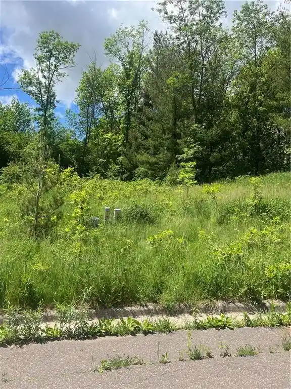 Photo 3 of Land for sale at 950 Emerald Court Court, Rice Lake, WI 54868 | MLS# 1578641 | Listing updated on 2026-06-09