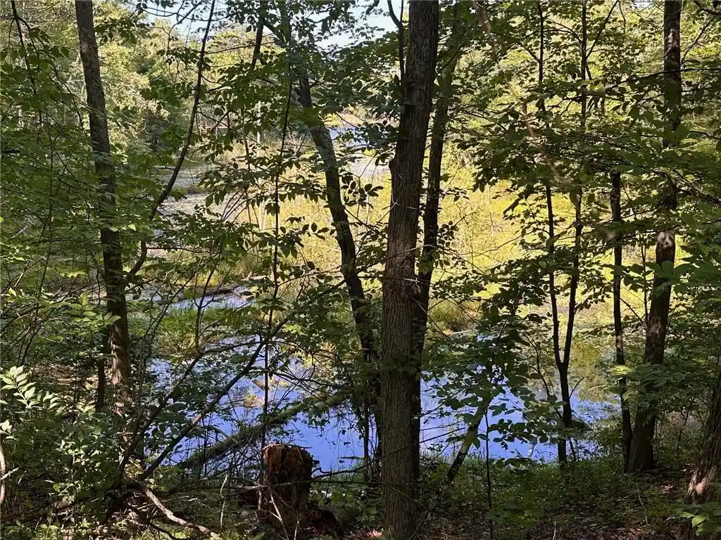 1st image of Lot 1 Oriole Lane Lane, Hayward, WI 54843 | MLS# 1584642