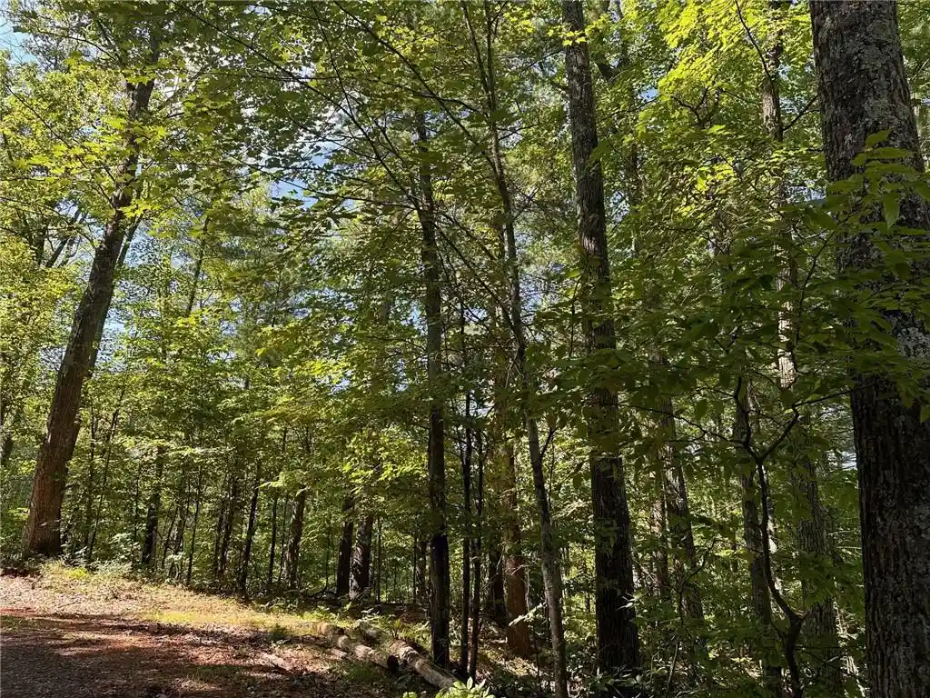 4th image of Lot 1 Oriole Lane Lane, Hayward, WI 54843 | MLS# 1584642