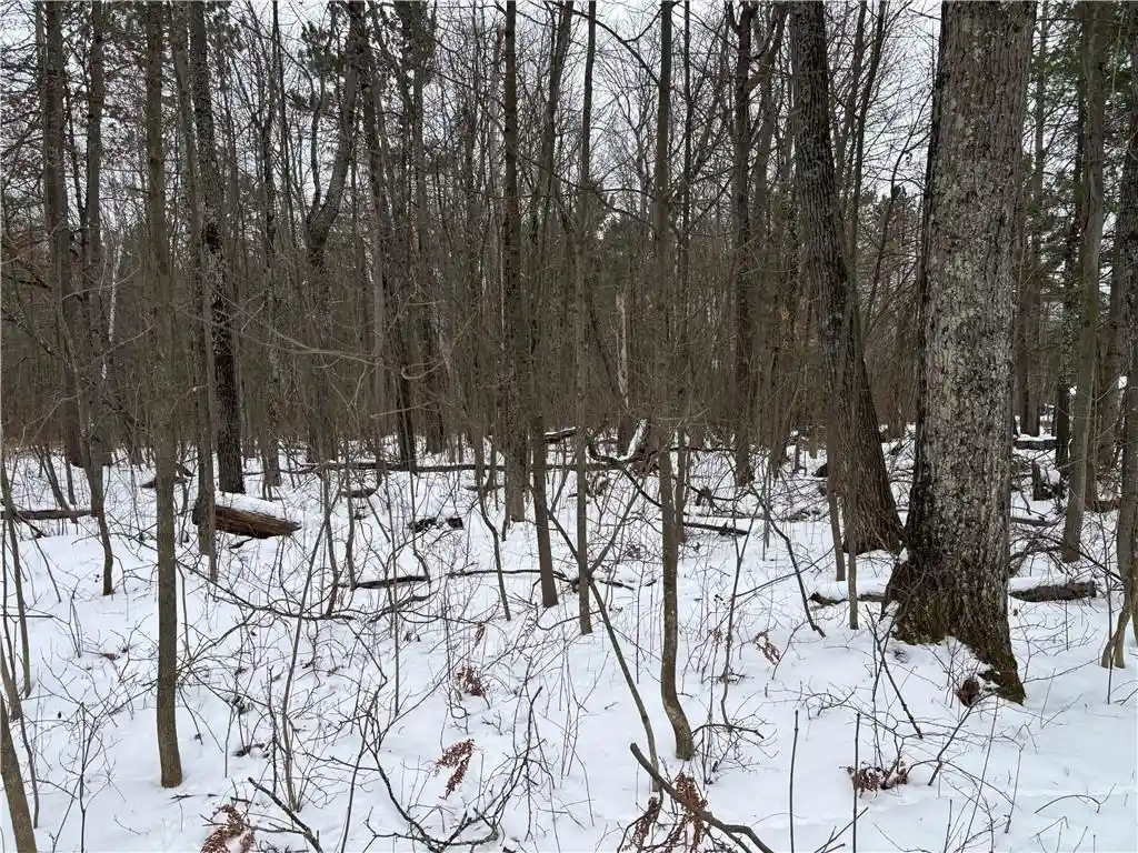 Photo 3 of Land for sale at Xxx W County Hwy K, Hayward, WI 54843 | MLS# 1588474 | Listing updated on 2026-07-09