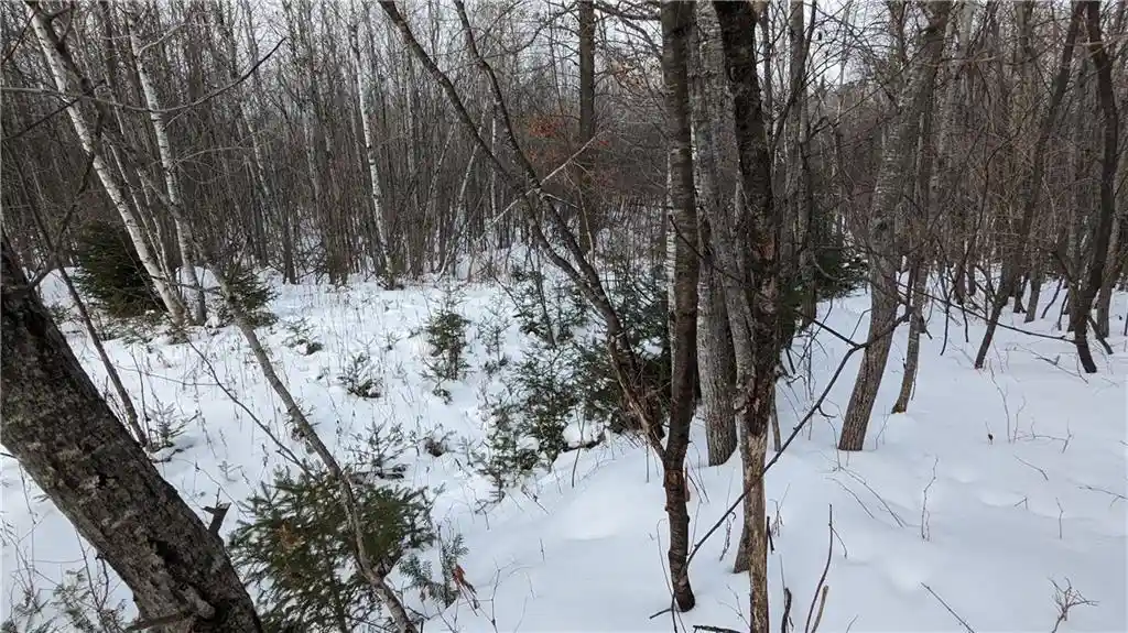 Photo 2 of Land for sale at Lot 0 County Hwy W, Winter, WI 54896 | MLS# 1588452 | Listing updated on 2026-08-27