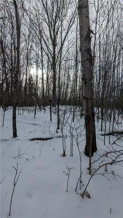 Photo 3 of Land for sale at Lot 0 County Hwy W, Winter, WI 54896 | MLS# 1588452 | Listing updated on 2026-08-27