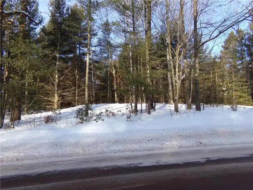 Photo 3 of Land for sale at Tbd S County Rd F, Lake Nebagamon, WI 54849 | MLS# 1589031 | Listing updated on 2026-06-15