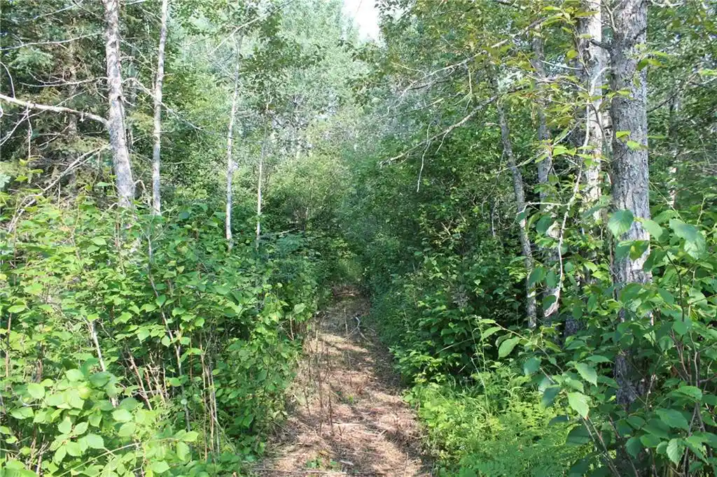 Photo 2 of Land for sale at Lot 1 E Camp Amnicon Road Road, Superior, WI 54874 | MLS# 1589455 | Listing updated on 2026-09-25