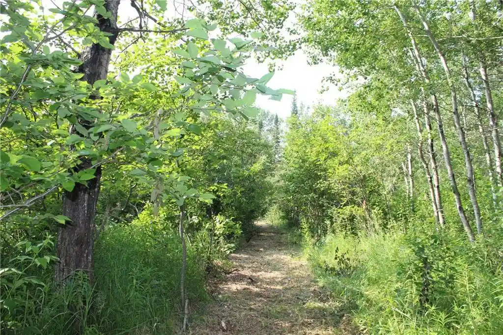 Photo 3 of Land for sale at Lot 1 E Camp Amnicon Road Road, Superior, WI 54874 | MLS# 1589455 | Listing updated on 2026-09-25