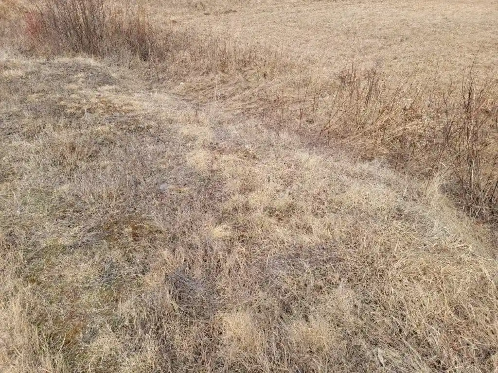 Photo 3 of Land for sale at On Townline Road Road, Ojibwa, WI 54862 | MLS# 1589876 | Listing updated on 2026-08-18