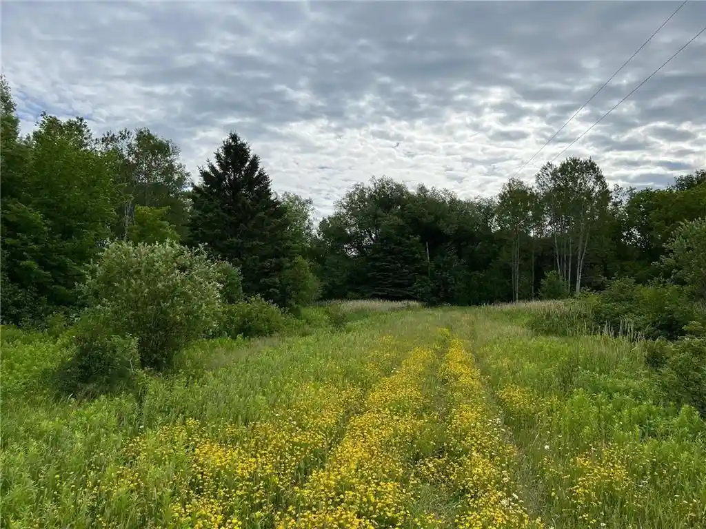 Photo 2 of Land for sale at 86640 South Pratt Road, Bayfield, WI 54814 | MLS# 1567028 | Listing updated on 2026-04-29