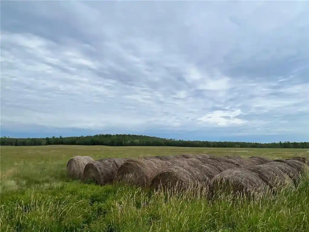 Photo 40 of Land for sale at 86640 South Pratt Road, Bayfield, WI 54814 | MLS# 1567028 | Listing updated on 2026-04-29