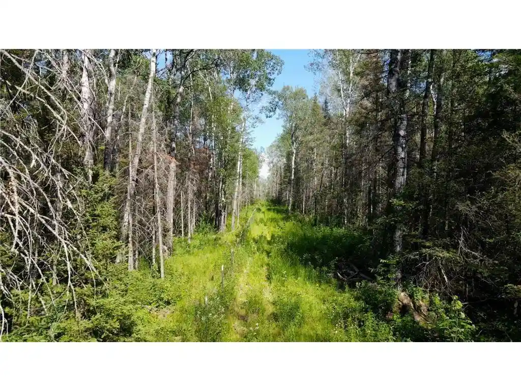 Photo 2 of Land for sale at 74035 County Hwy A, Iron River, WI 54847 | MLS# 1567041 | Listing updated on 2026-04-29