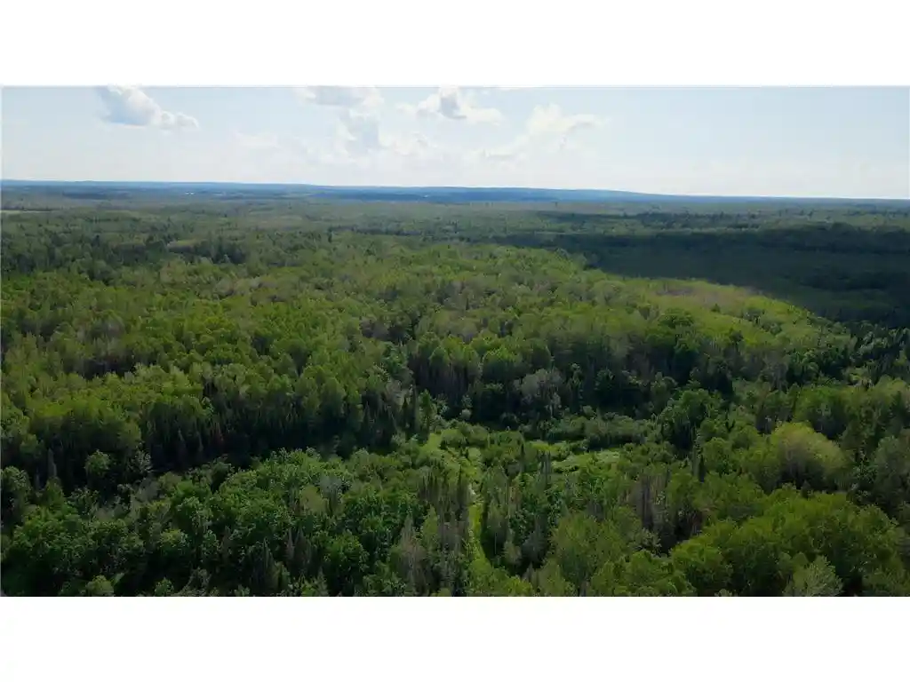 Photo 40 of Land for sale at 74035 County Hwy A, Iron River, WI 54847 | MLS# 1567041 | Listing updated on 2026-04-29