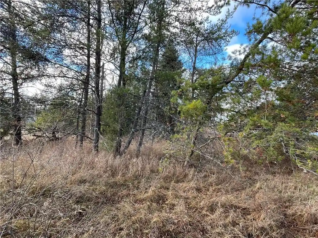 10th image of Lot 2 Ranch Road Road, Hayward, WI 54843 | MLS# 1587273