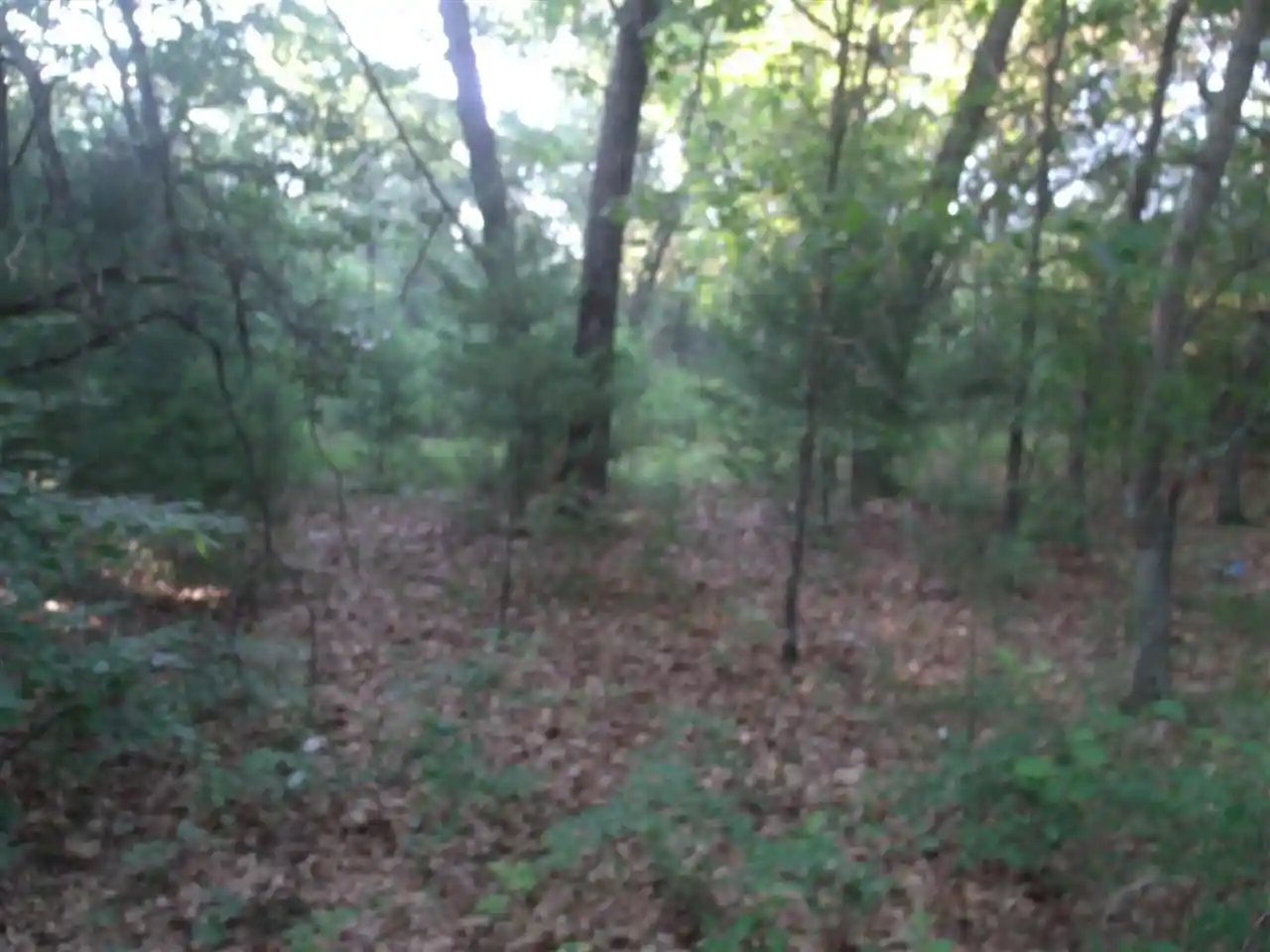 Photo 3 of Land for sale at L4 Oak Street Street, Montello, WI 53949 | MLS# 1772857 | Listing updated on 2026-08-03