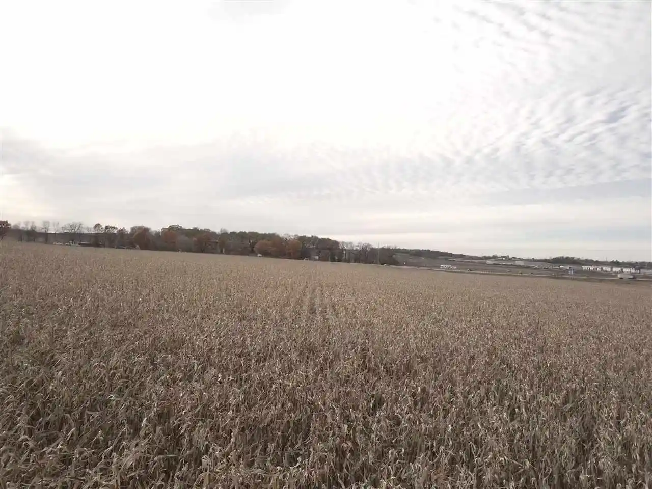 Photo 3 of Land for sale at 335 Ac River Road Road, De Forest, WI 53532 | MLS# 1844903 | Listing updated on 2026-08-06