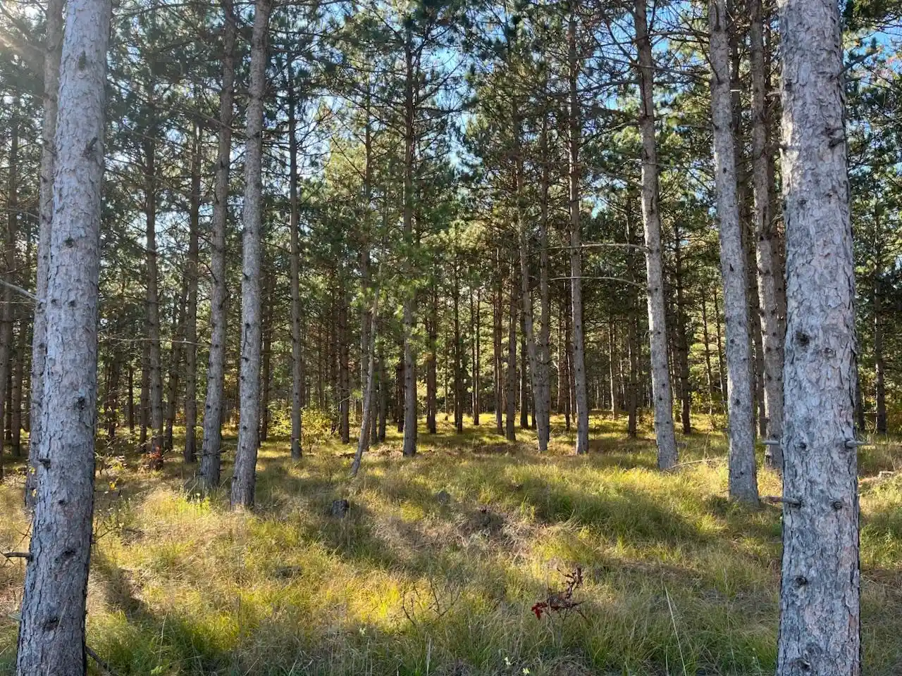 1st image of 16 15th Avenue Avenue, Nekoosa, WI 54457 | MLS# 2011558