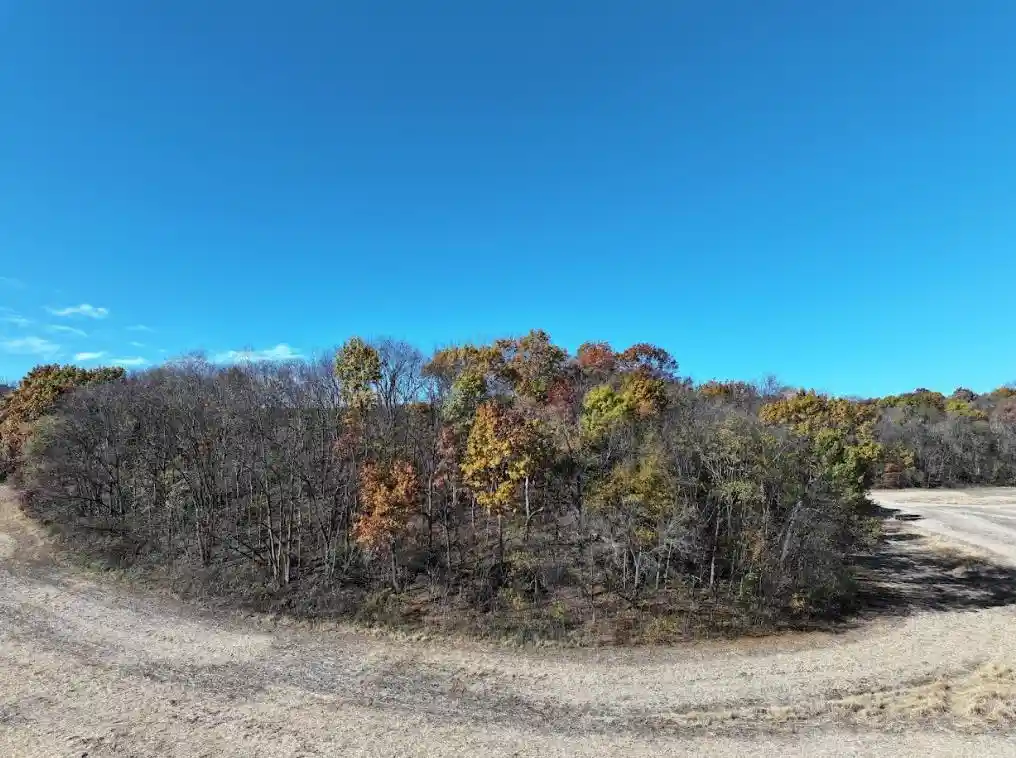 Homes for sale in Belleville, WI | 115 M/L Acres Primrose Center Road Road, Belleville, WI 53508 | MLS# 2011907
