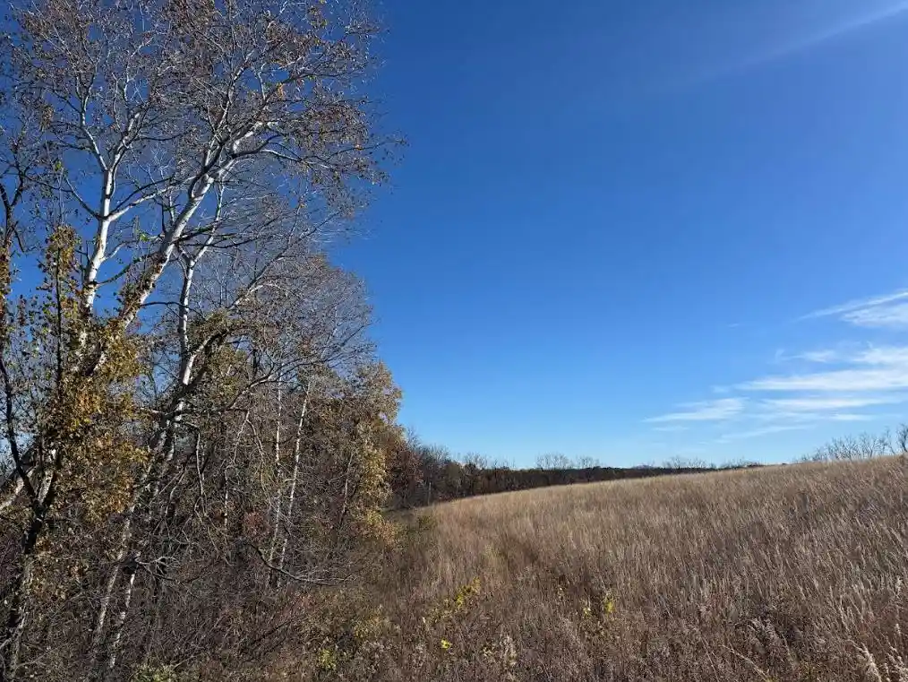 Homes for sale in Belleville, WI | 115 M/L Acres Primrose Center Road Road, Belleville, WI 53508 | MLS# 2011907