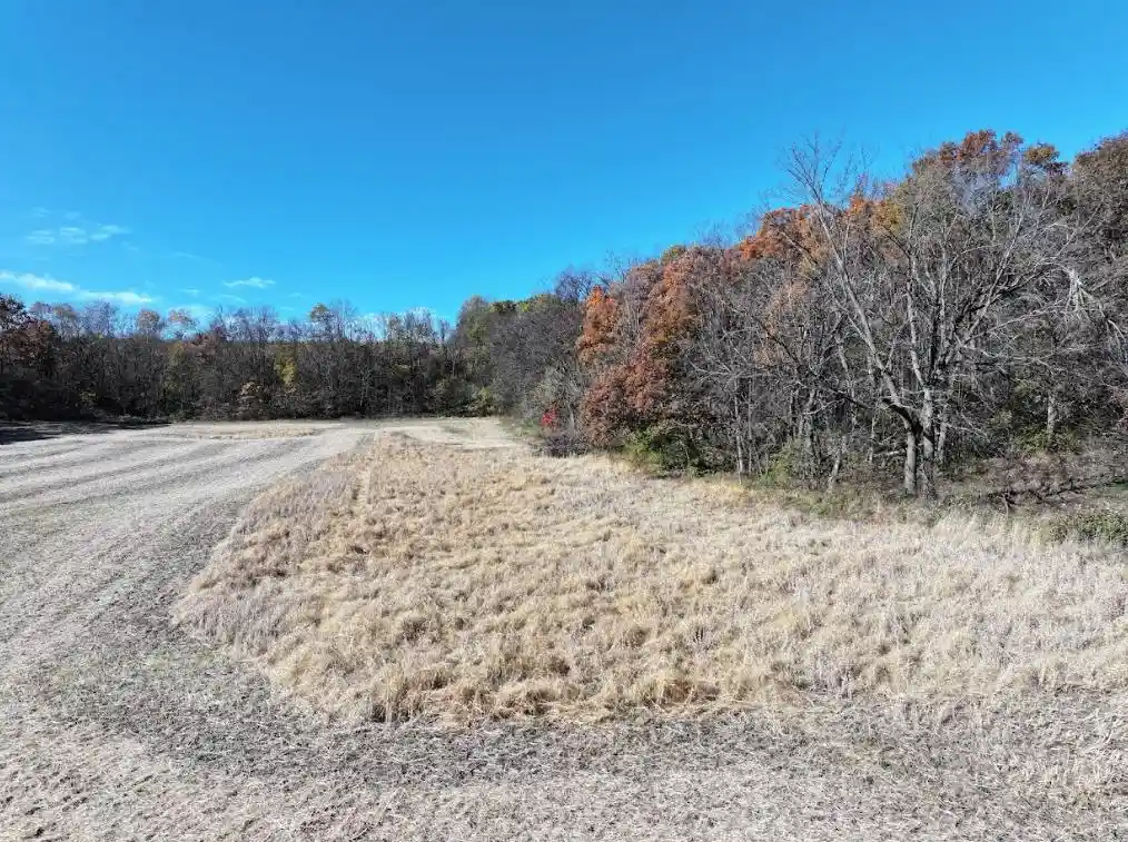 Homes for sale in Belleville, WI | 115 M/l Acres Primrose Center Road Road, Belleville, WI 53508 | MLS# 2011907