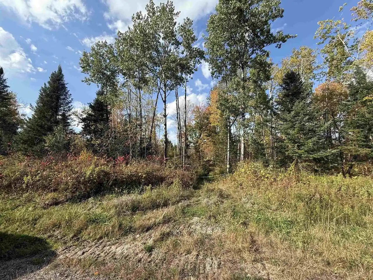 Homes for sale in Lily, WI | Hwy 52, Lily, WI 54491 | MLS# 50317741