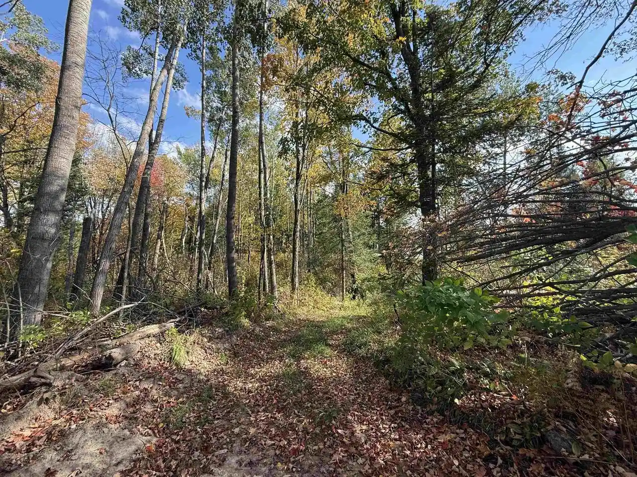 Homes for sale in Lily, WI | Hwy 52, Lily, WI 54491 | MLS# 50317741