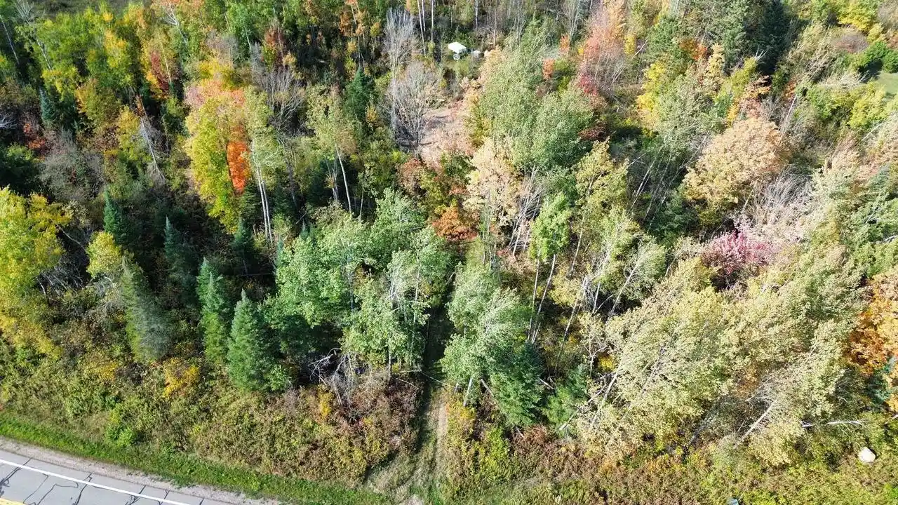 Homes for sale in Lily, WI | Hwy 52, Lily, WI 54491 | MLS# 50317741