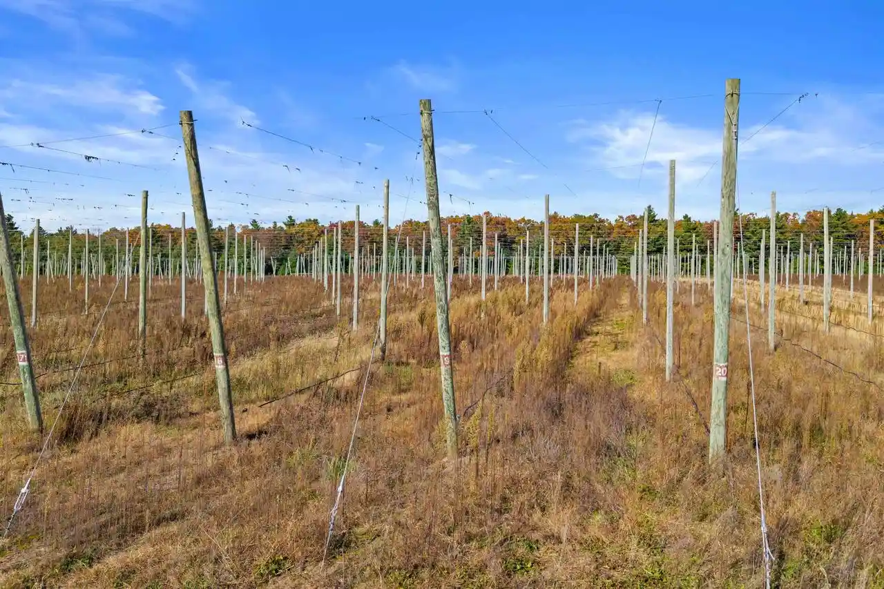 30th image of N4085 Cranberry Road Road, Warrens, WI 54666 | MLS# 22505304