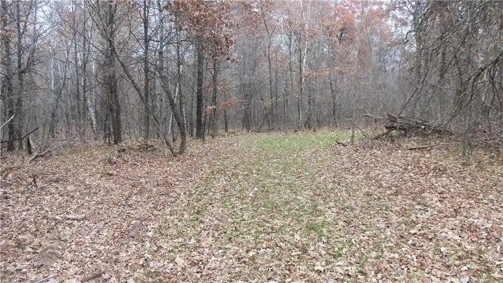 Photo 3 of Land for sale at Lot 4 East River Rd, Grantsburg, WI 54840 | MLS# 1596954 | Listing updated on 2026-09-14