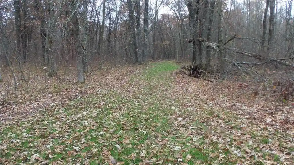 Photo 4 of Land for sale at Lot 4 East River Rd, Grantsburg, WI 54840 | MLS# 1596954 | Listing updated on 2026-09-14