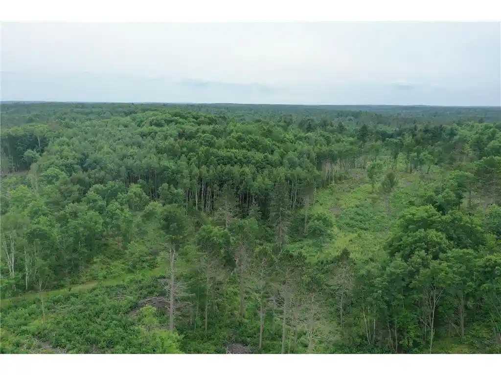 1st image of Tbd N Larsen Road Road, Hayward, WI 54843 | MLS# 6816027